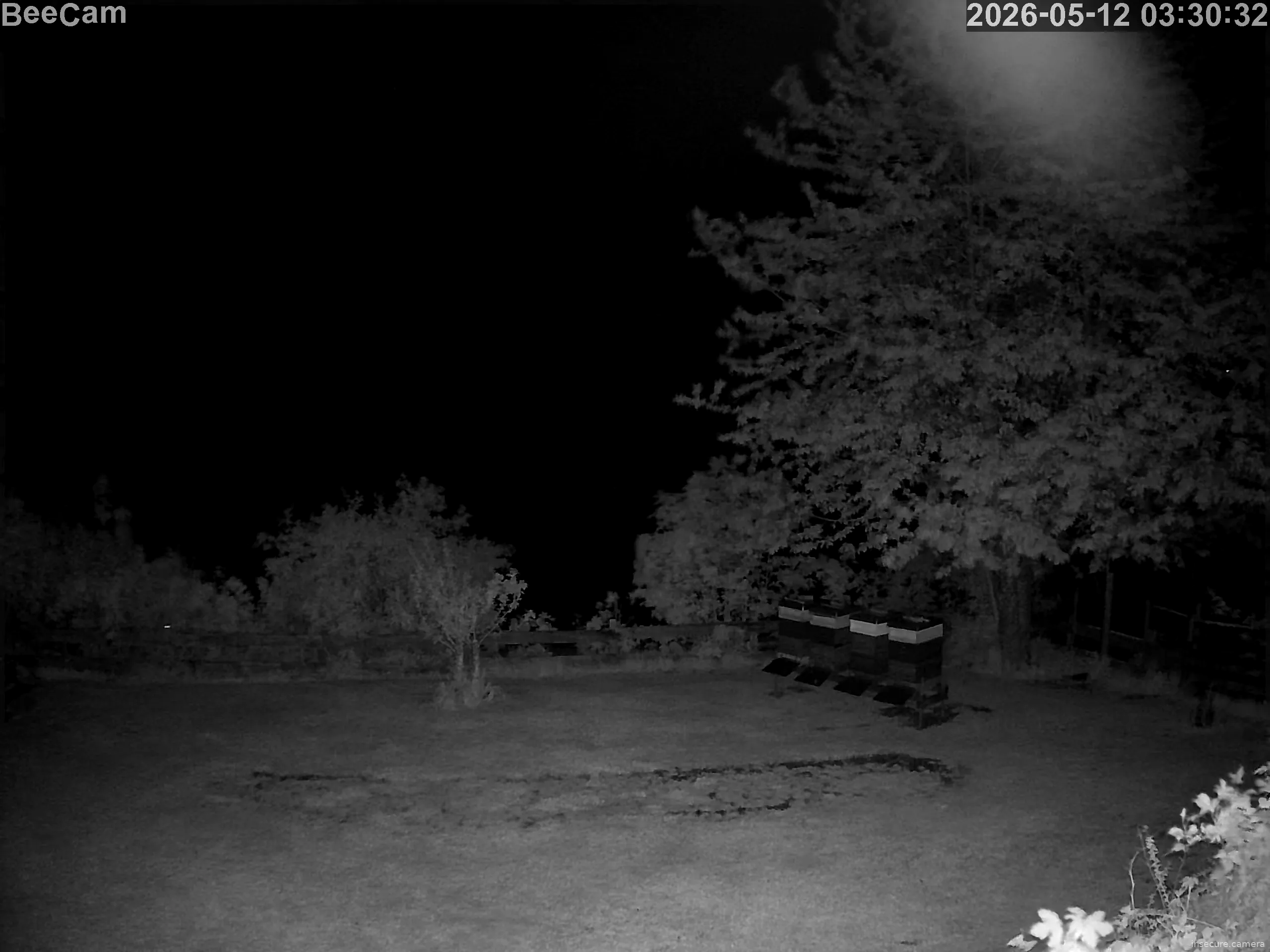 Capture from May 12, 2026 at 01:30 AM