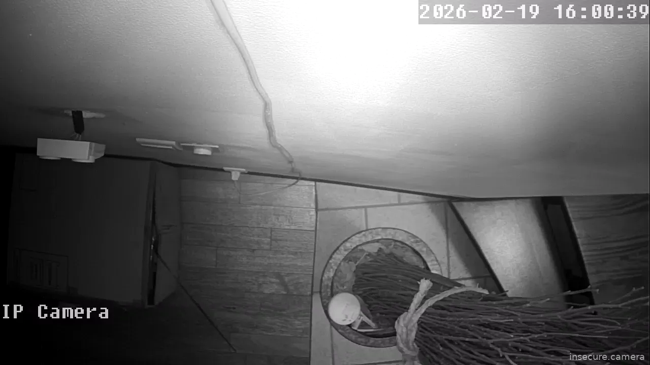 Capture from Feb 19, 2026 at 08:00 AM