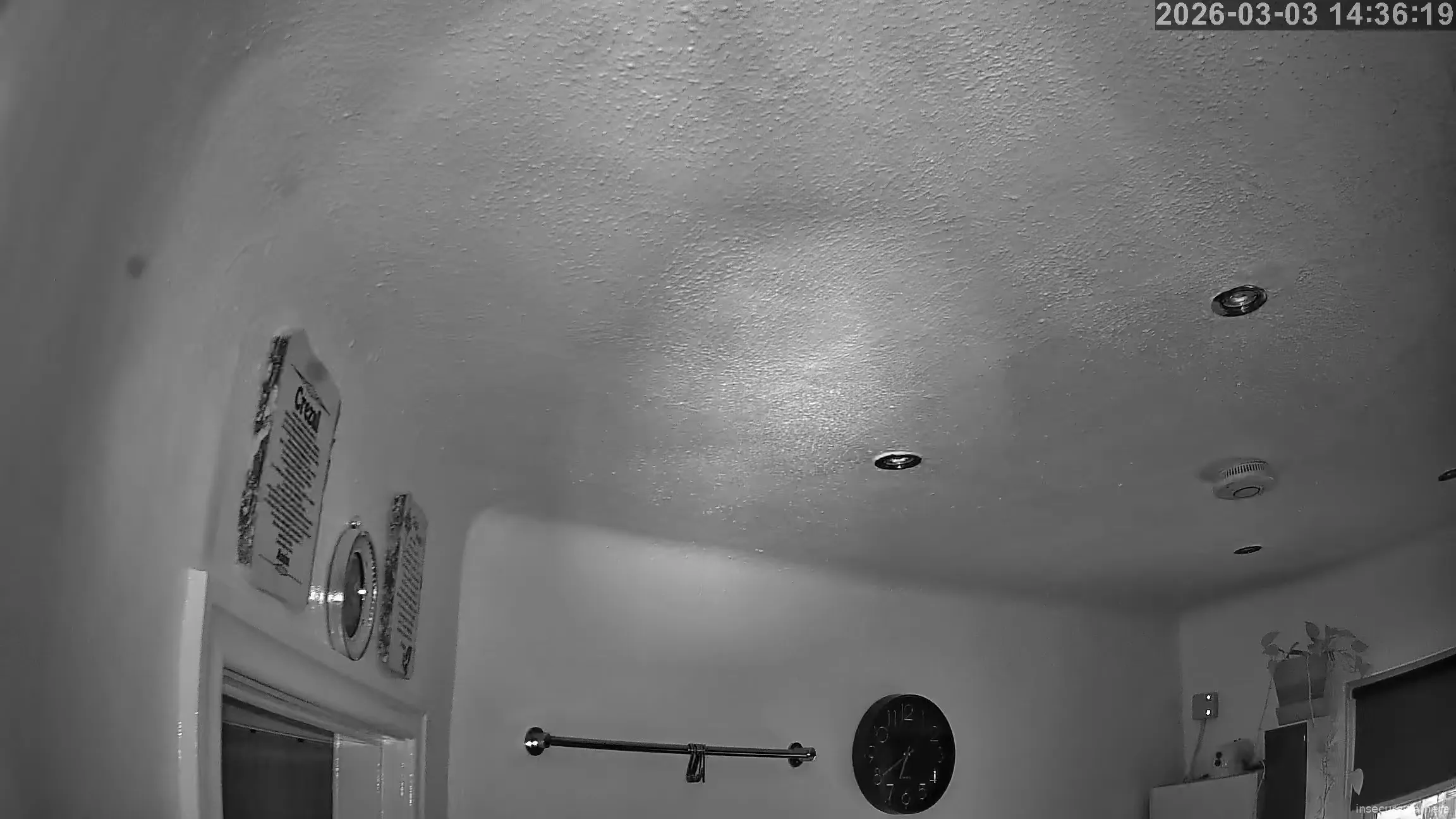 Capture from Mar 03, 2026 at 06:36 AM