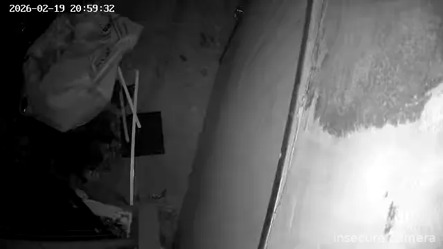 Capture from Feb 19, 2026 at 11:59 AM