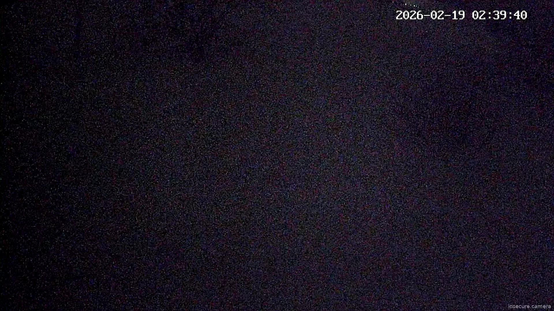 Capture from Feb 19, 2026 at 12:39 AM