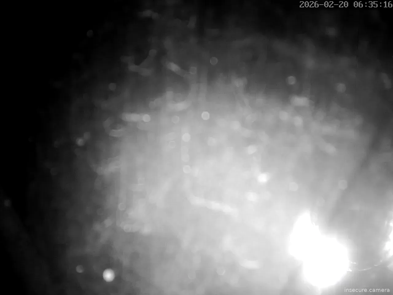 Capture from Feb 19, 2026 at 09:36 PM