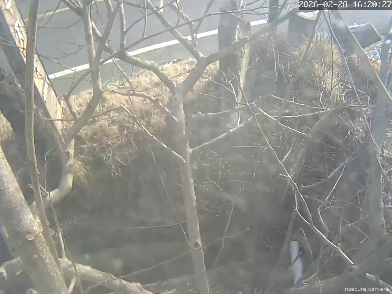 Capture from Feb 28, 2026 at 07:20 AM