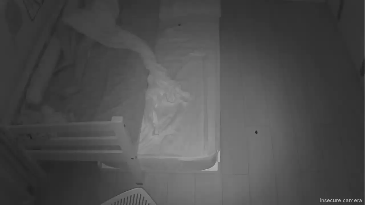 Capture from Feb 19, 2026 at 07:47 AM