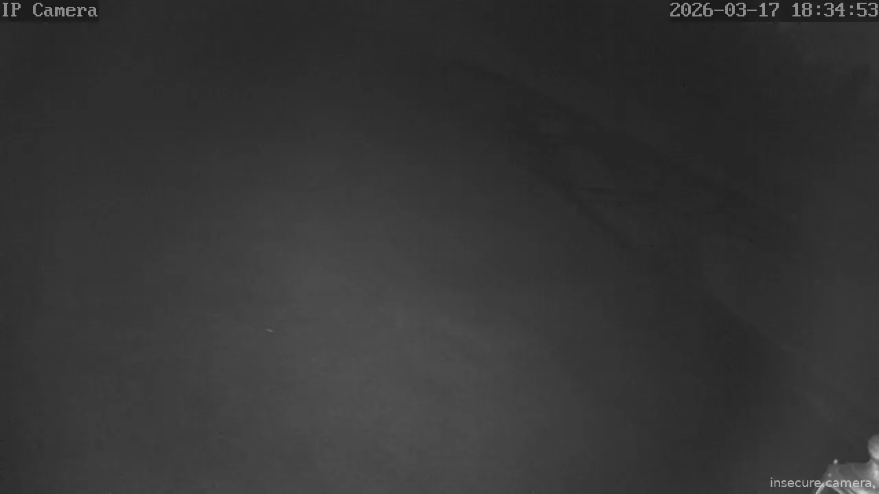 Camera in United States