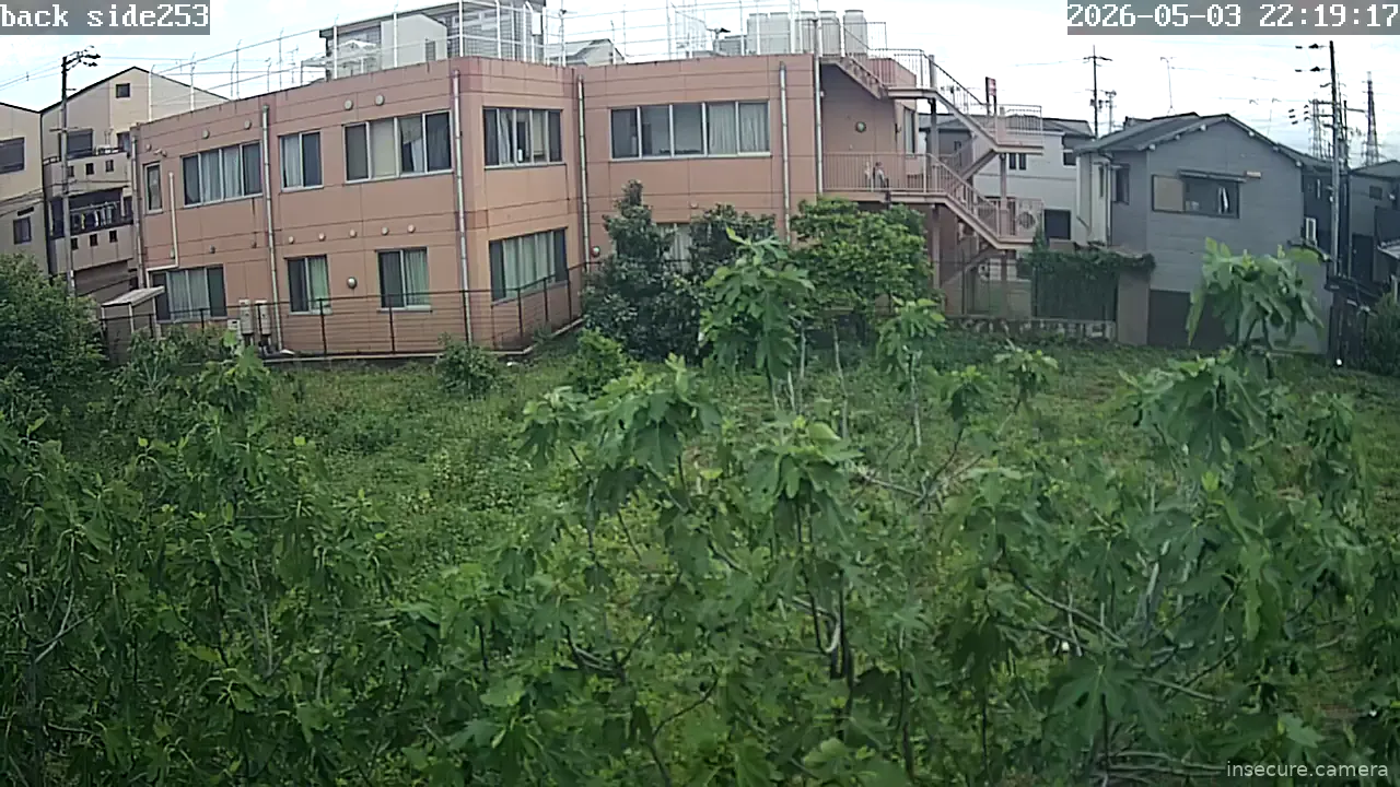 Camera in Japan