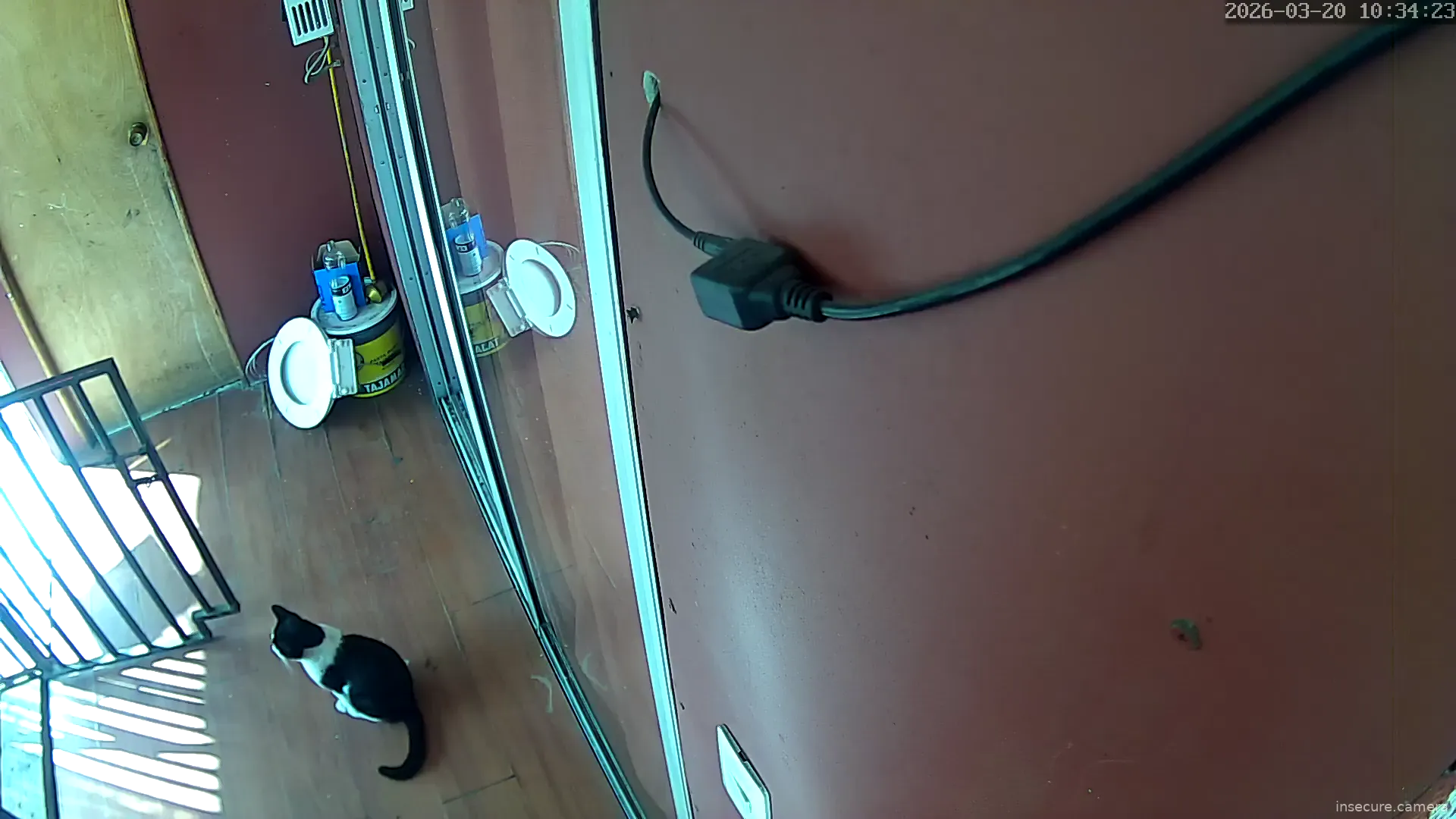 Capture from Mar 20, 2026 at 01:35 PM