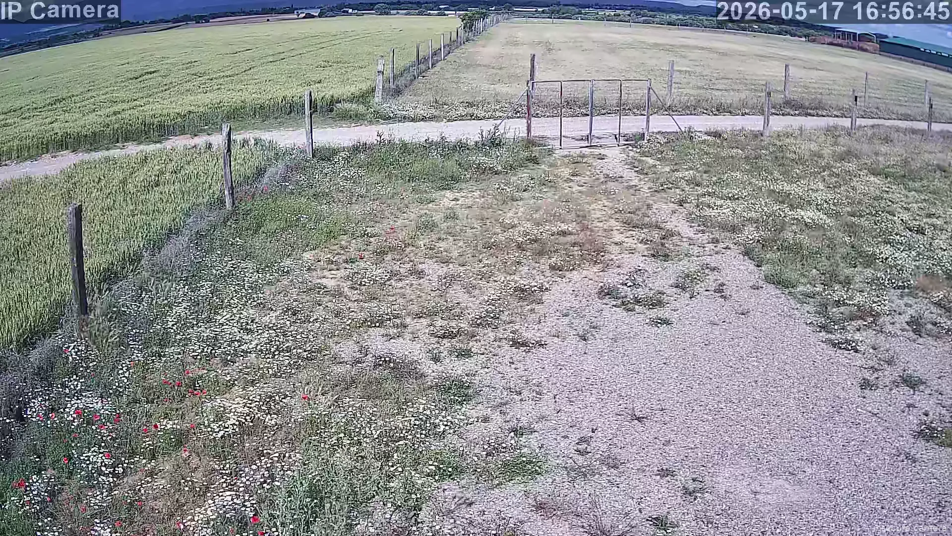 Camera in Spain