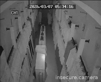 Capture from Mar 07, 2026 at 08:41 AM