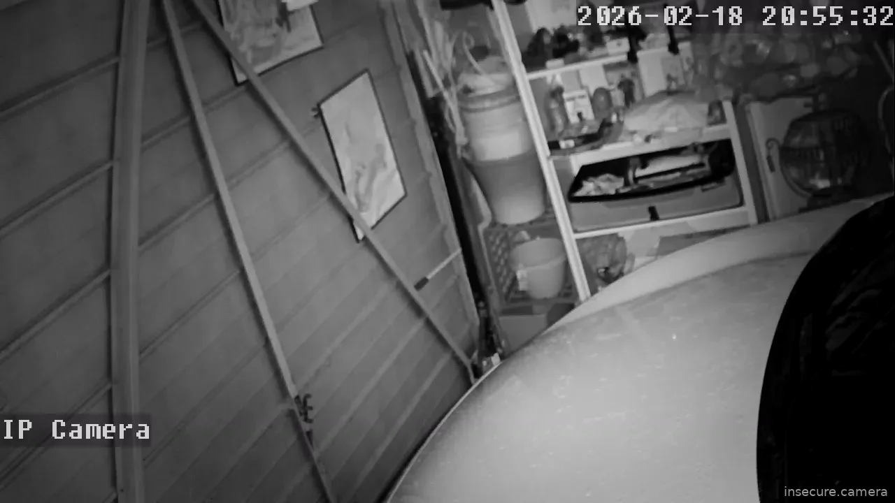 Capture from Feb 19, 2026 at 02:55 AM