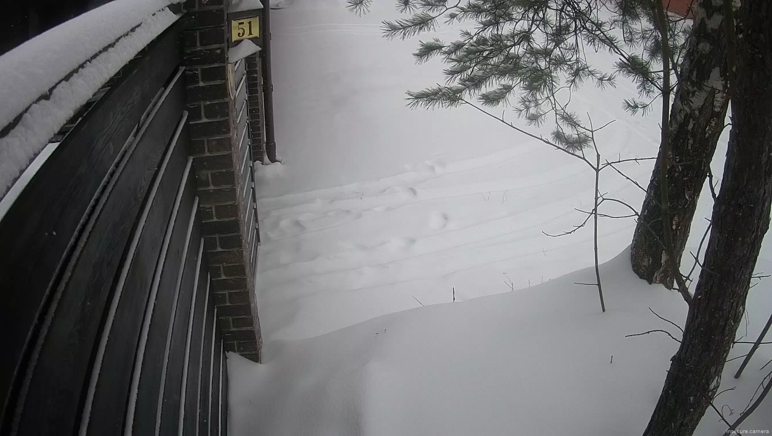 Capture from Feb 19, 2026 at 09:18 AM