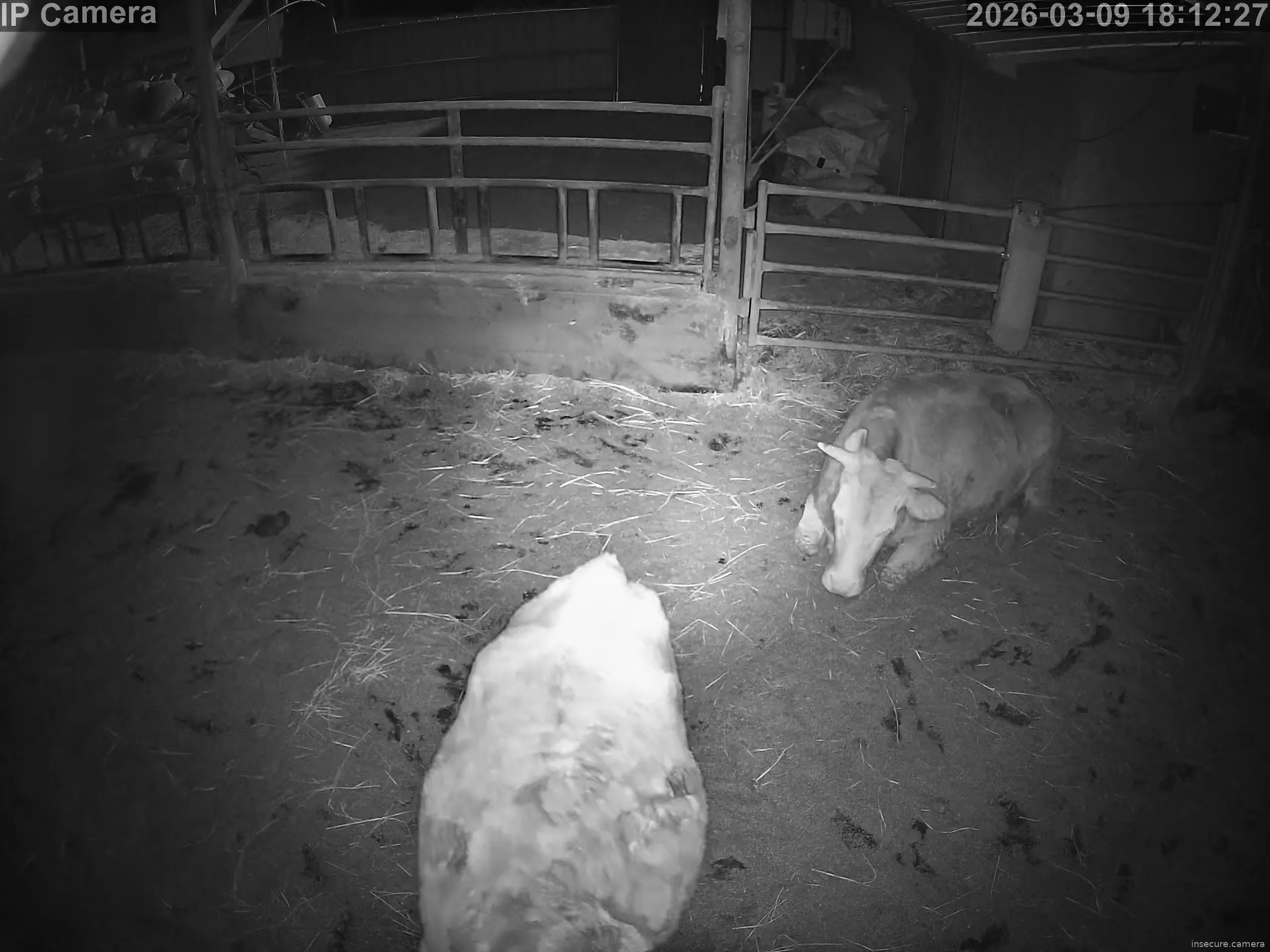 Camera in South Korea