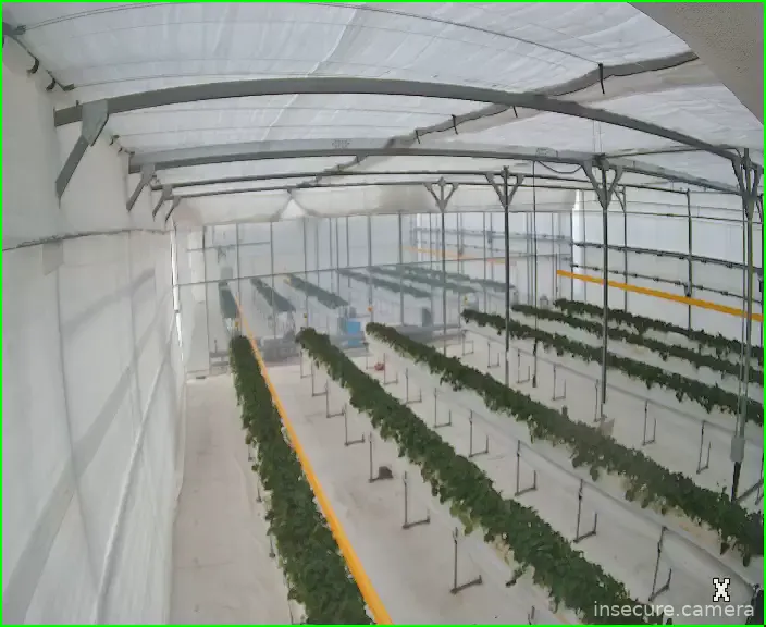 Capture from Feb 19, 2026 at 10:12 PM