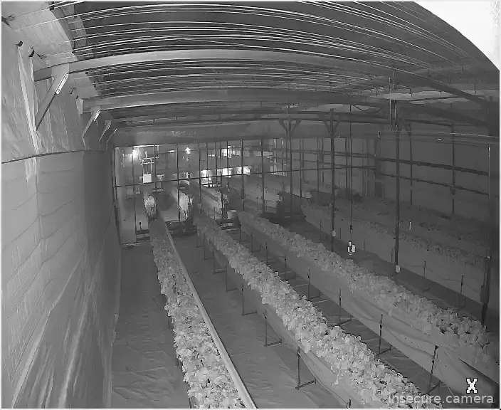 Capture from Feb 26, 2026 at 10:30 AM