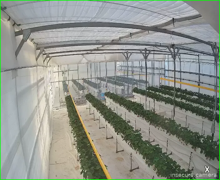 Camera in South Korea