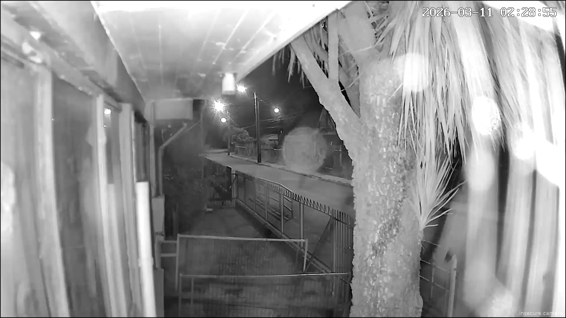 Capture from Mar 11, 2026 at 06:29 AM