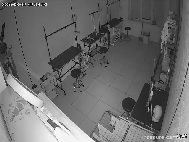 Capture from Feb 19, 2026 at 01:14 AM