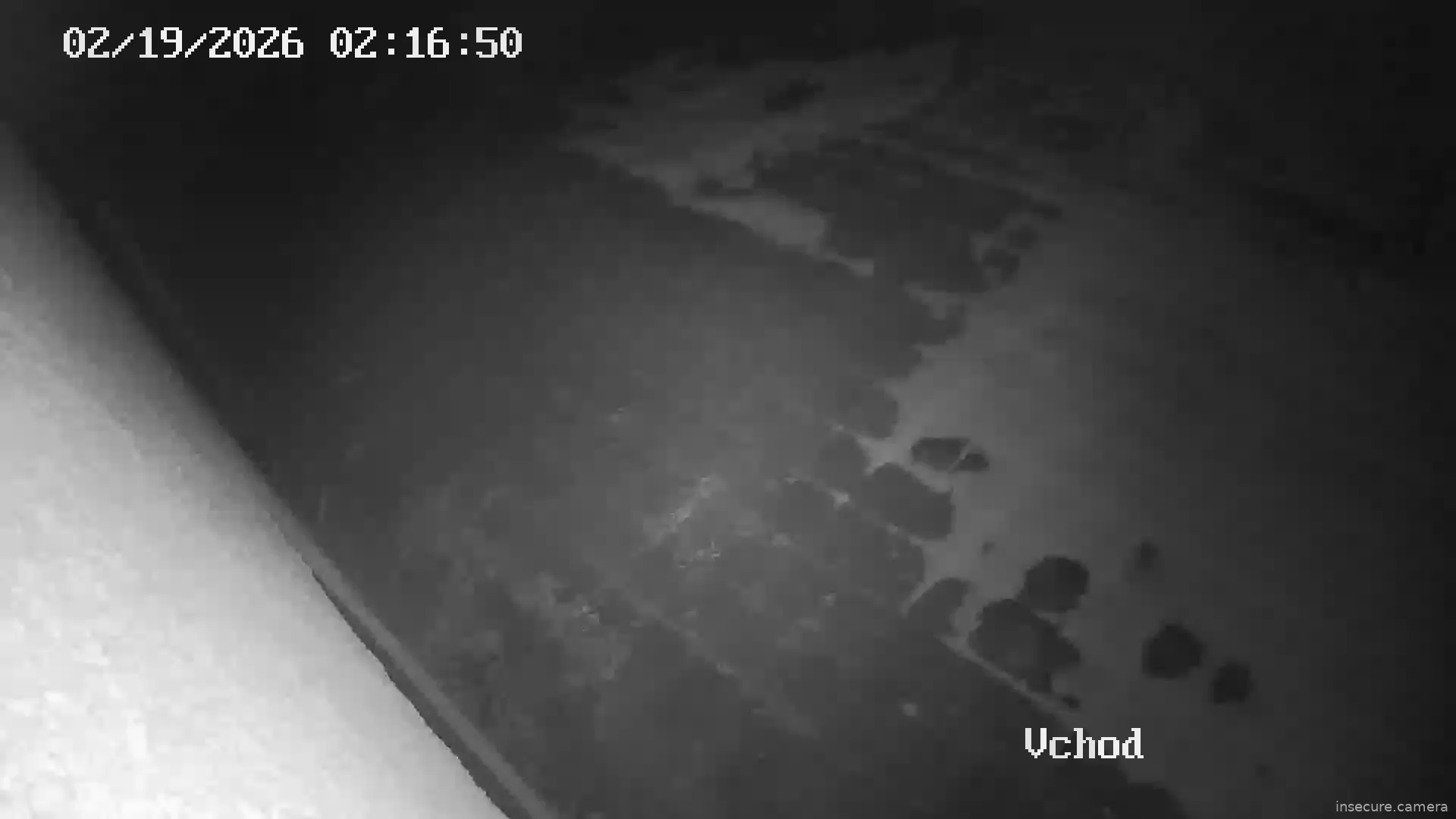 Capture from Feb 19, 2026 at 01:17 AM