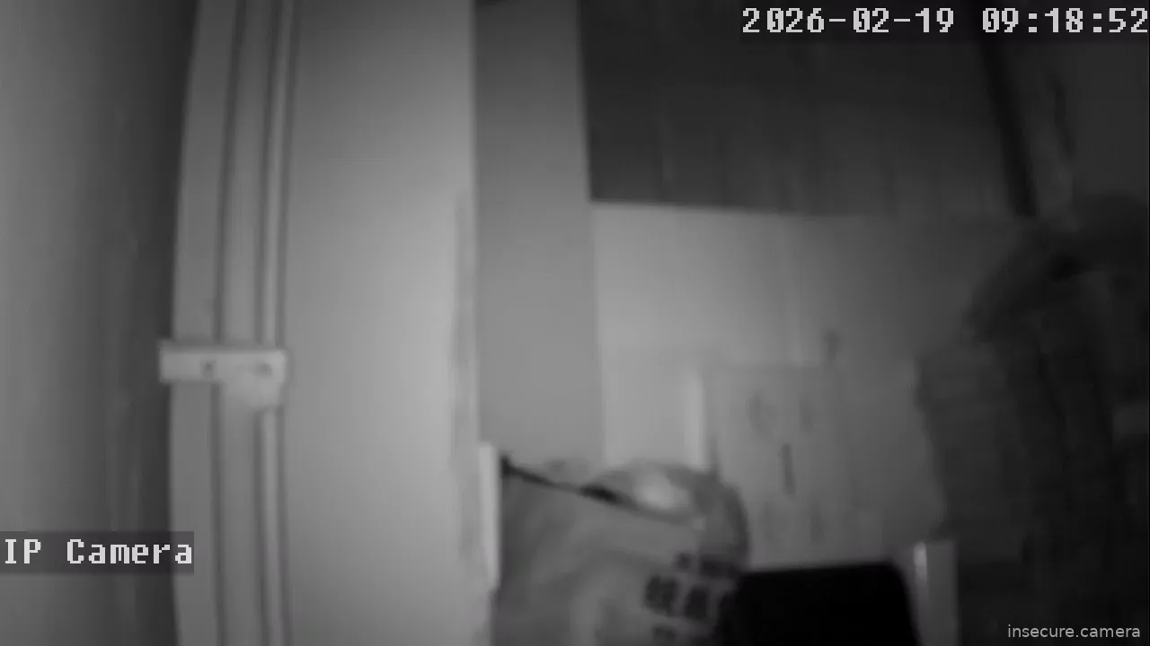 Capture from Feb 19, 2026 at 01:19 AM