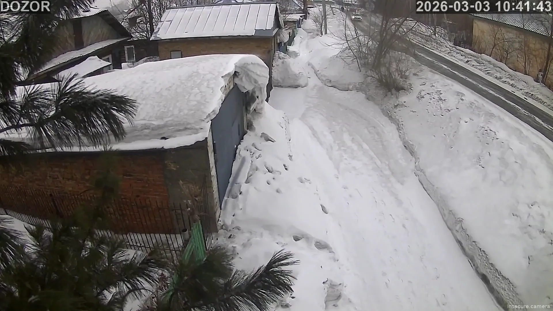 Capture from Mar 03, 2026 at 03:42 AM