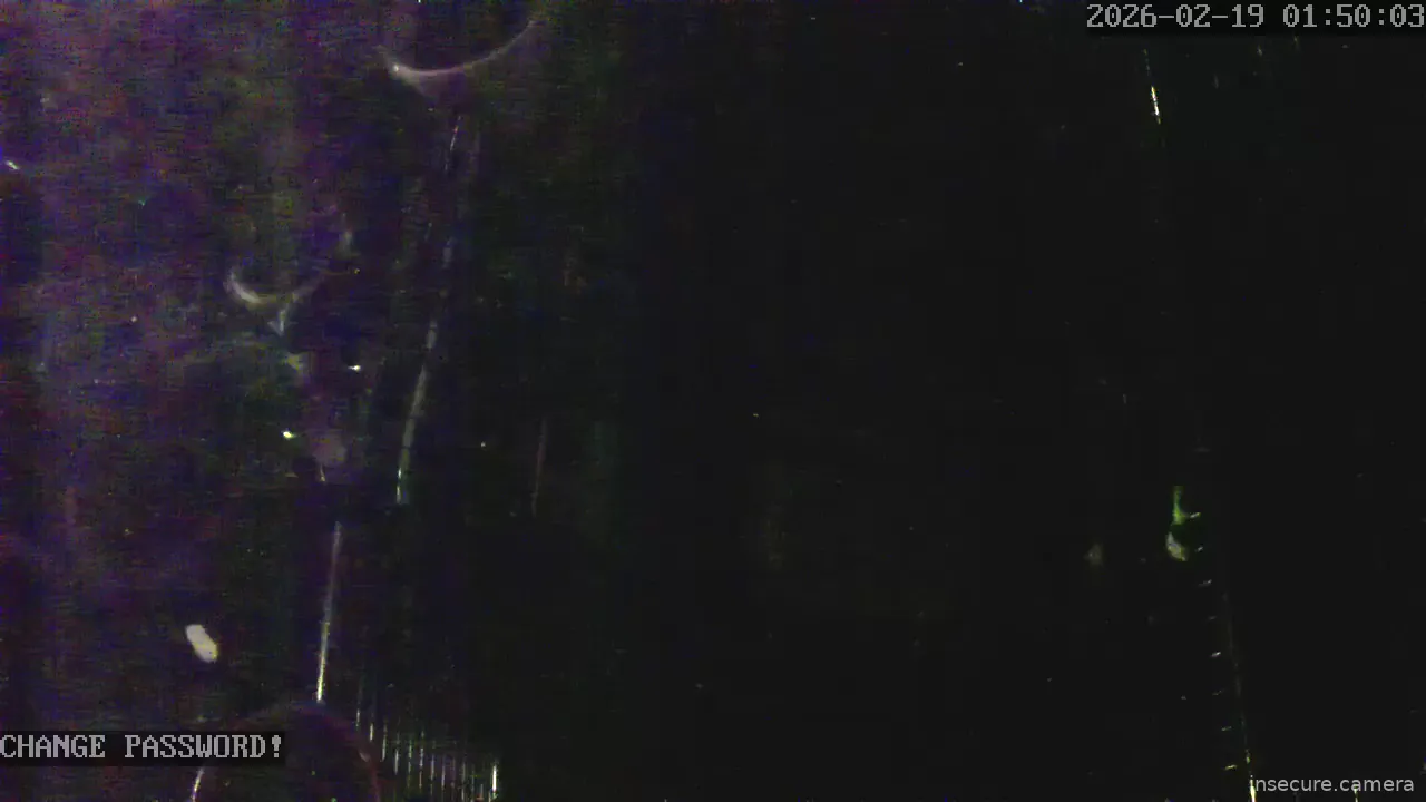 Capture from Feb 19, 2026 at 12:50 AM