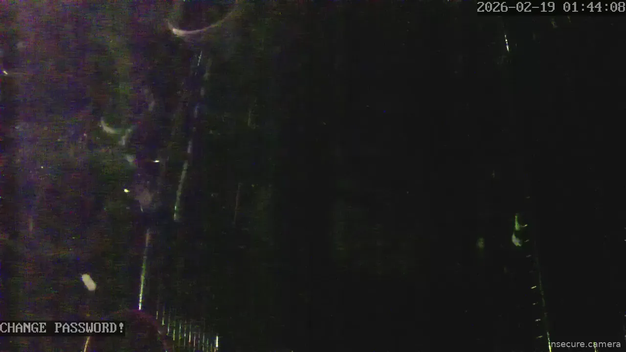 Capture from Feb 19, 2026 at 12:44 AM