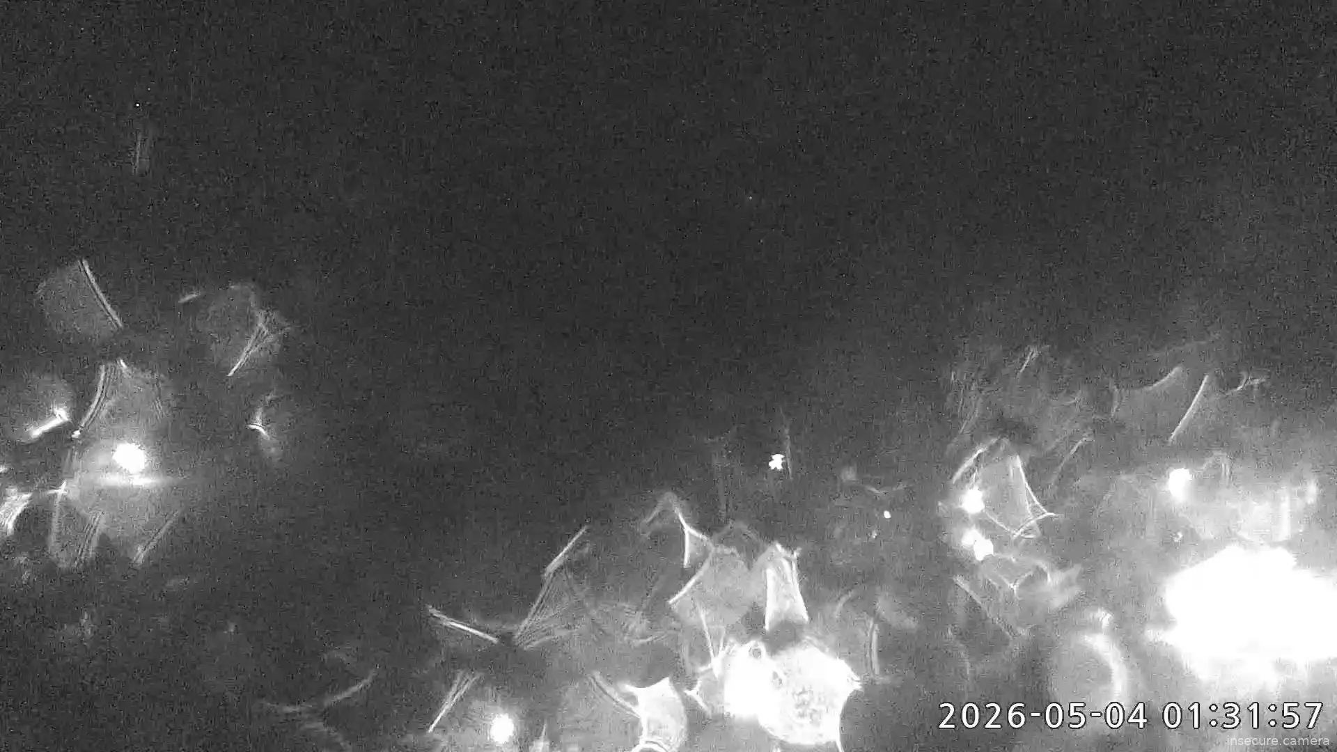 Capture from May 03, 2026 at 04:32 PM