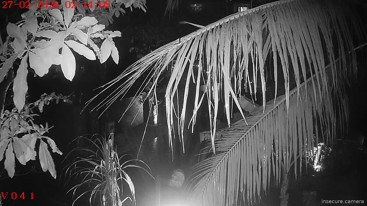 Capture from Feb 26, 2026 at 08:05 PM