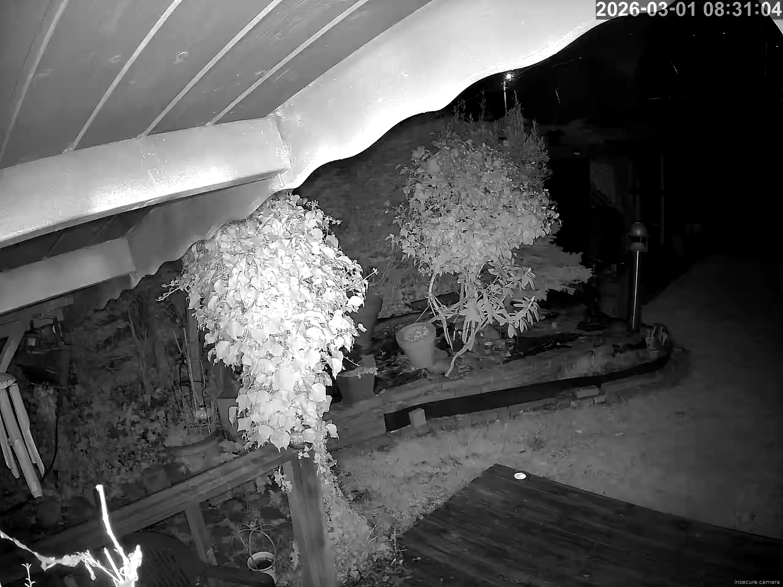 Capture from Mar 01, 2026 at 12:31 AM