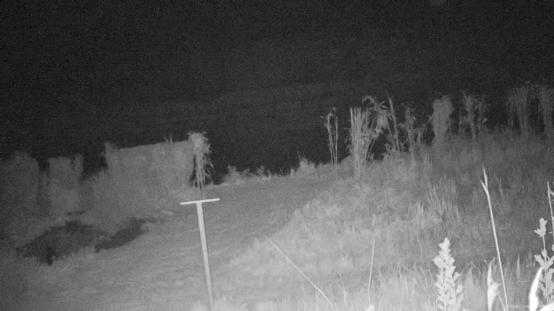 Capture from May 12, 2026 at 01:28 AM