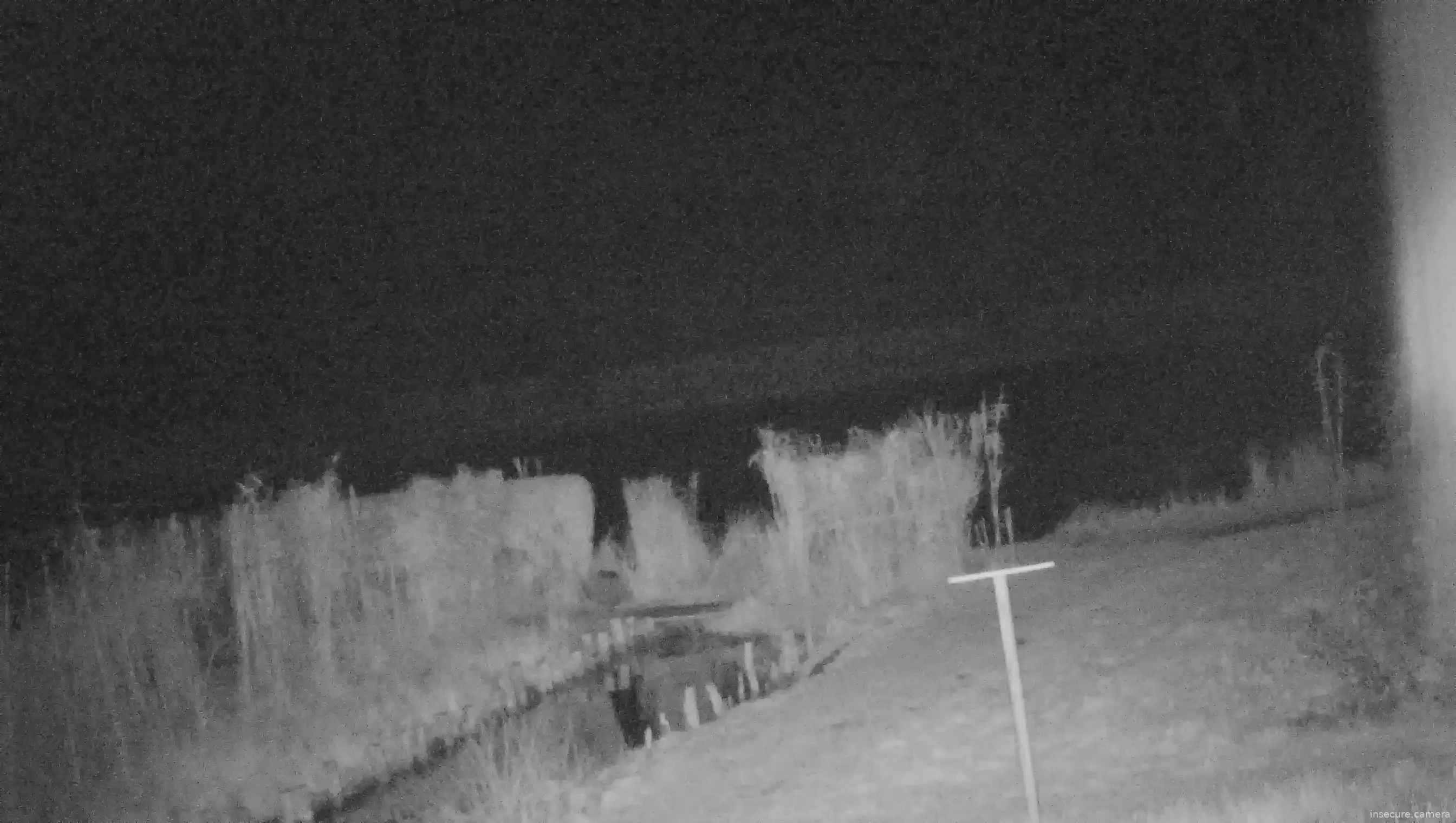 Capture from Feb 20, 2026 at 03:15 AM