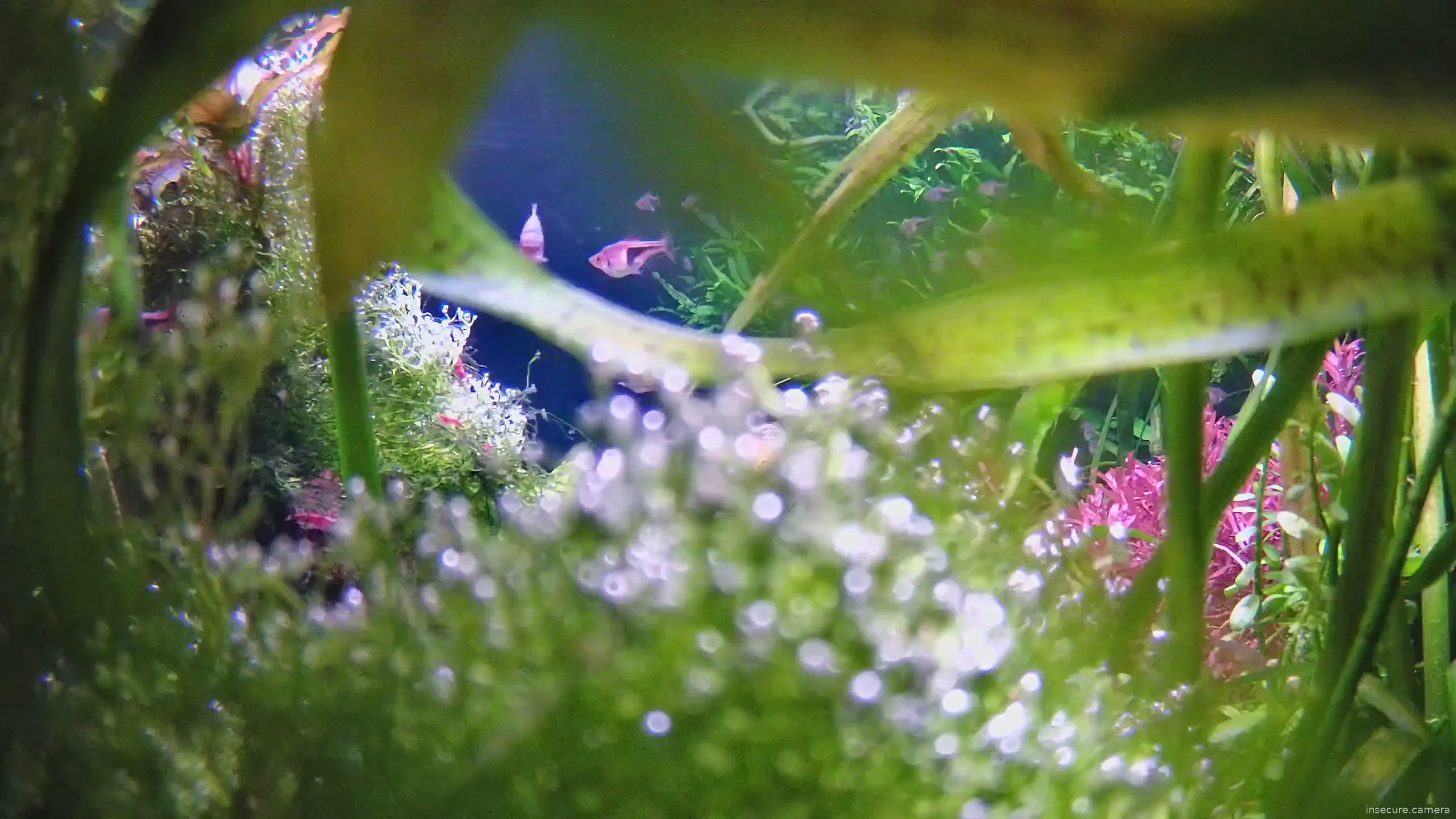 Capture from Mar 21, 2026 at 10:16 PM