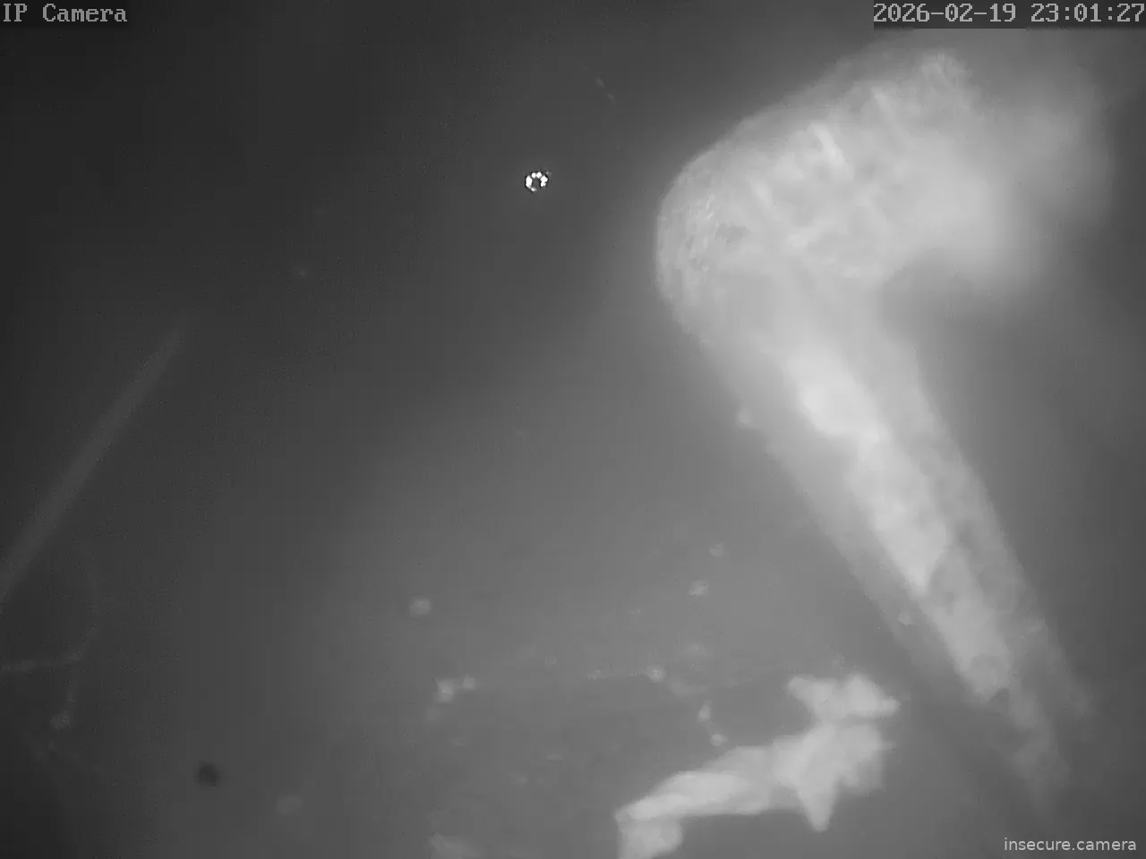 Capture from Feb 19, 2026 at 03:01 PM