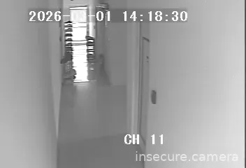 Capture from Mar 01, 2026 at 06:20 AM