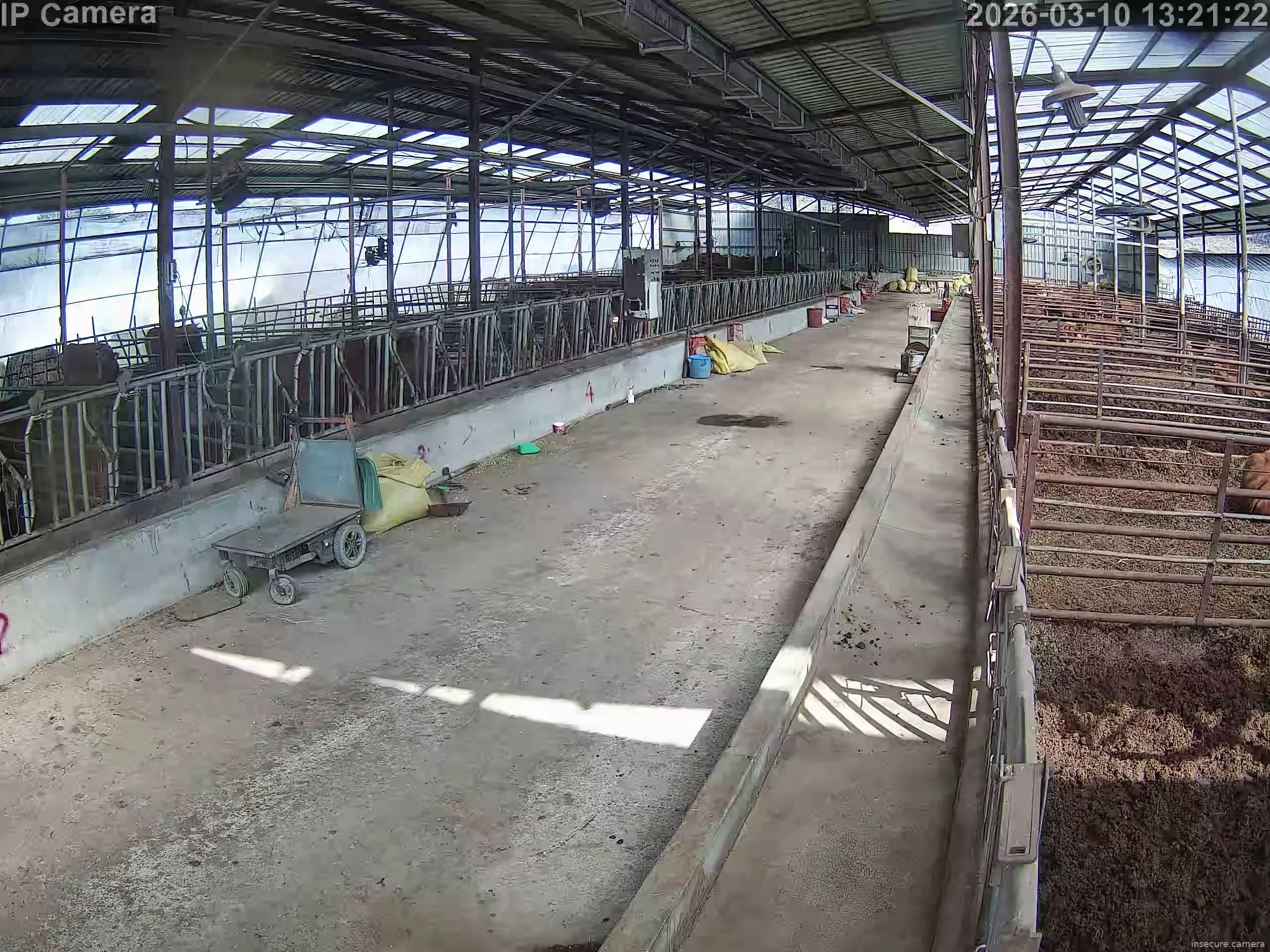 Capture from Mar 10, 2026 at 05:21 AM