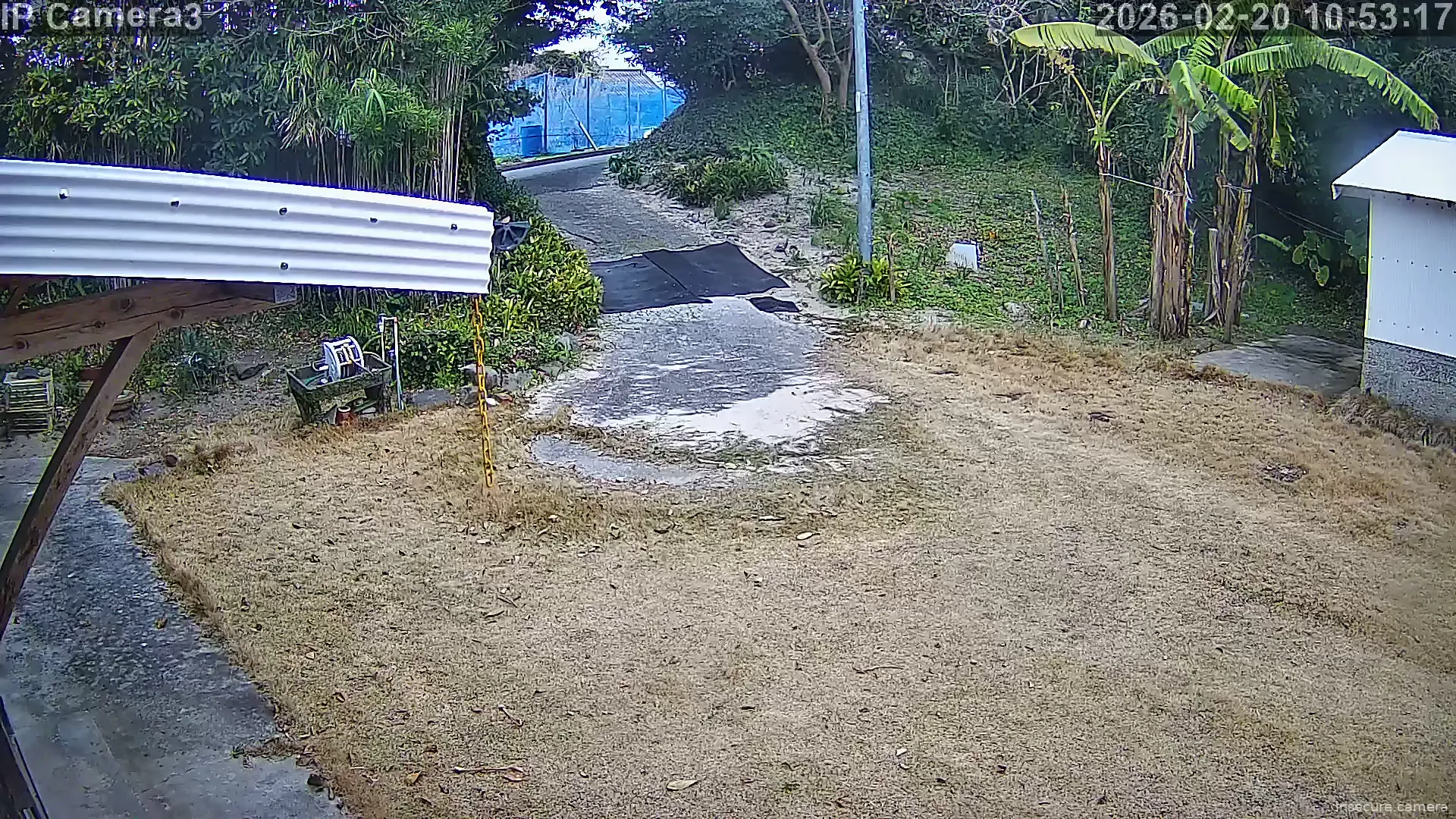 Capture from Feb 20, 2026 at 01:53 AM