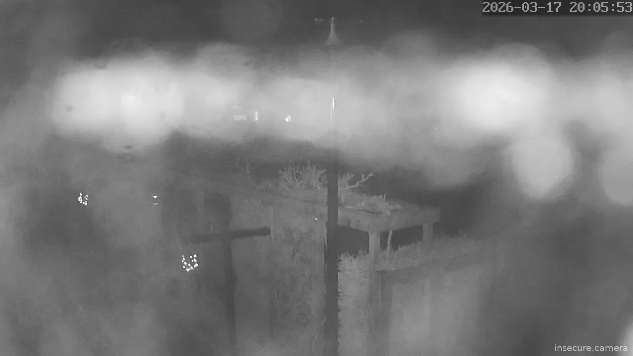 Capture from Mar 17, 2026 at 07:06 PM