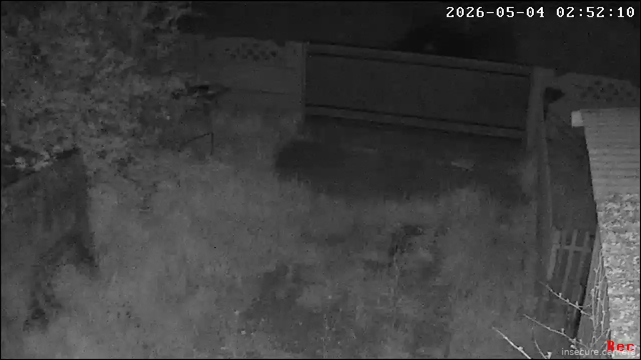 Capture from May 03, 2026 at 11:52 PM