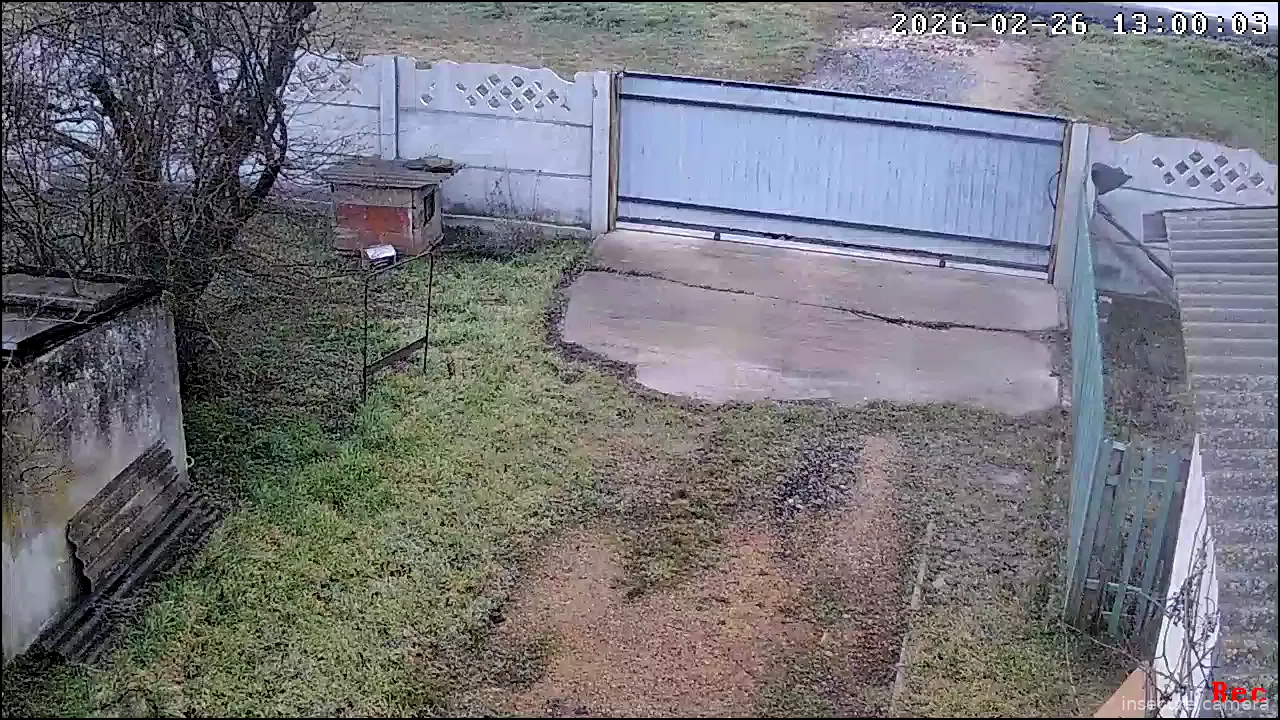 Capture from Feb 26, 2026 at 10:00 AM