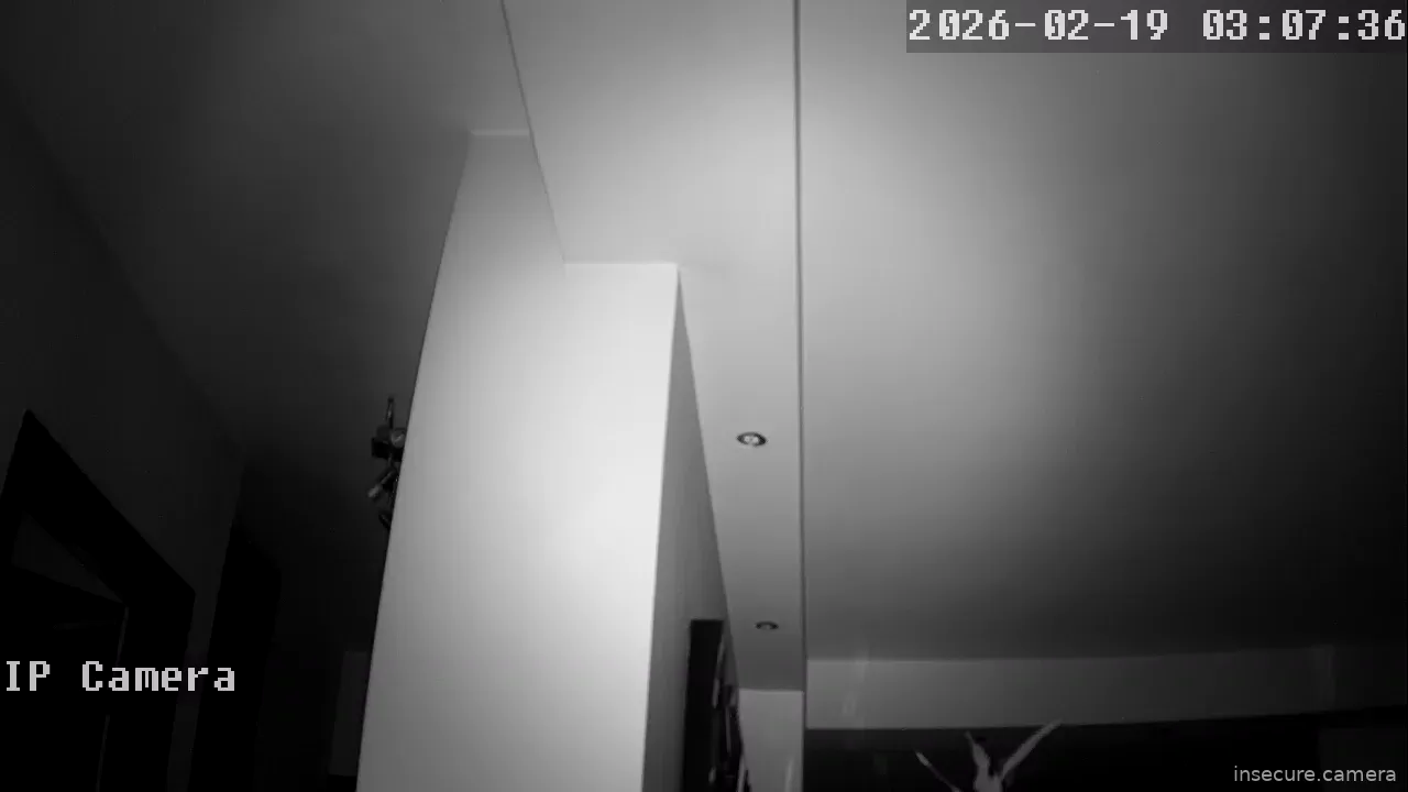 Capture from Feb 19, 2026 at 01:07 AM