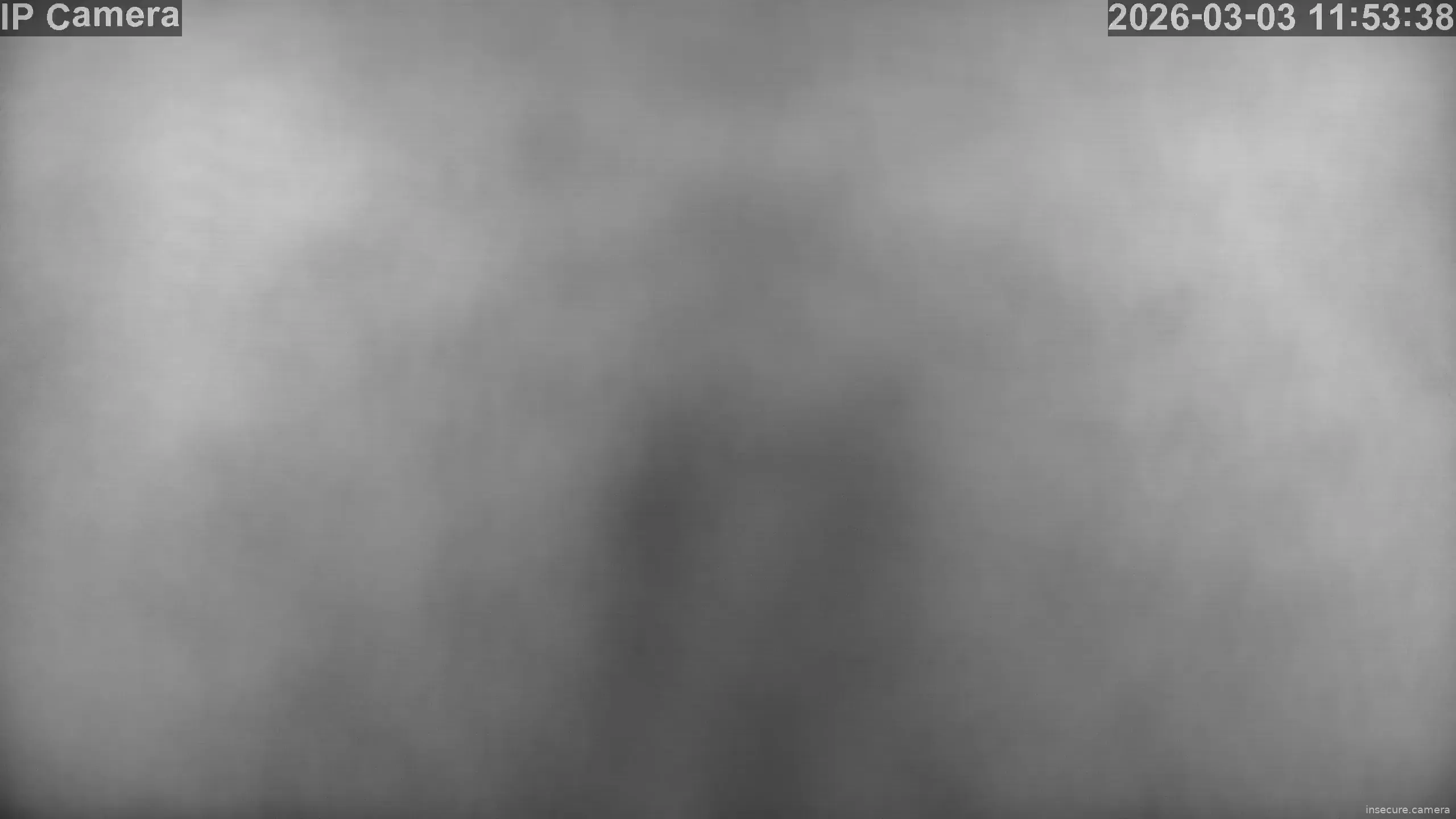 Capture from Mar 03, 2026 at 03:54 AM