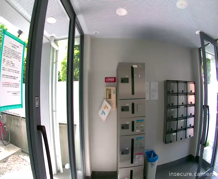 Camera in Japan