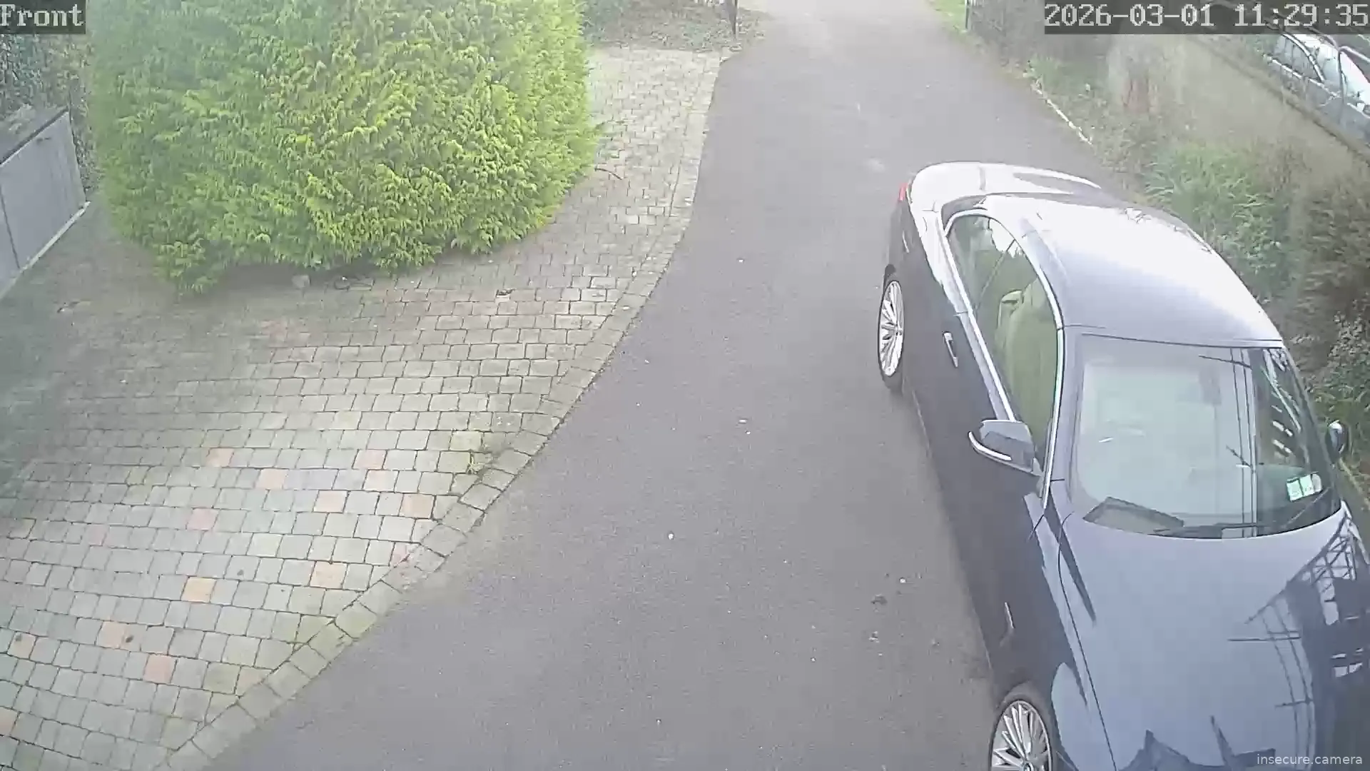 Capture from Mar 01, 2026 at 11:29 AM