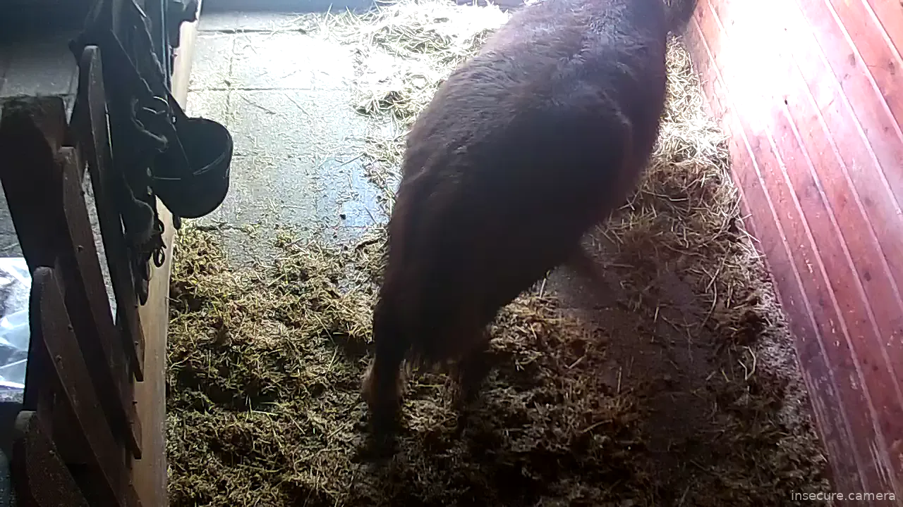 Capture from Feb 26, 2026 at 09:17 AM