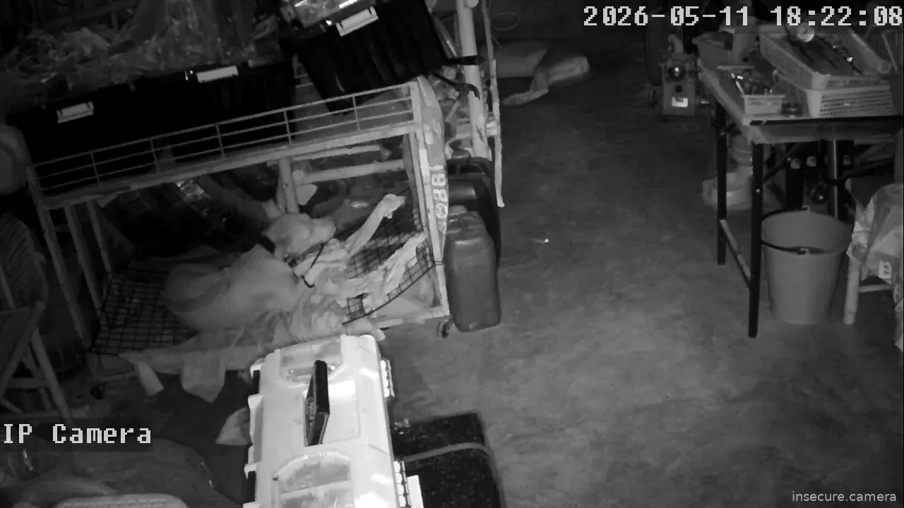 Capture from May 11, 2026 at 11:22 AM