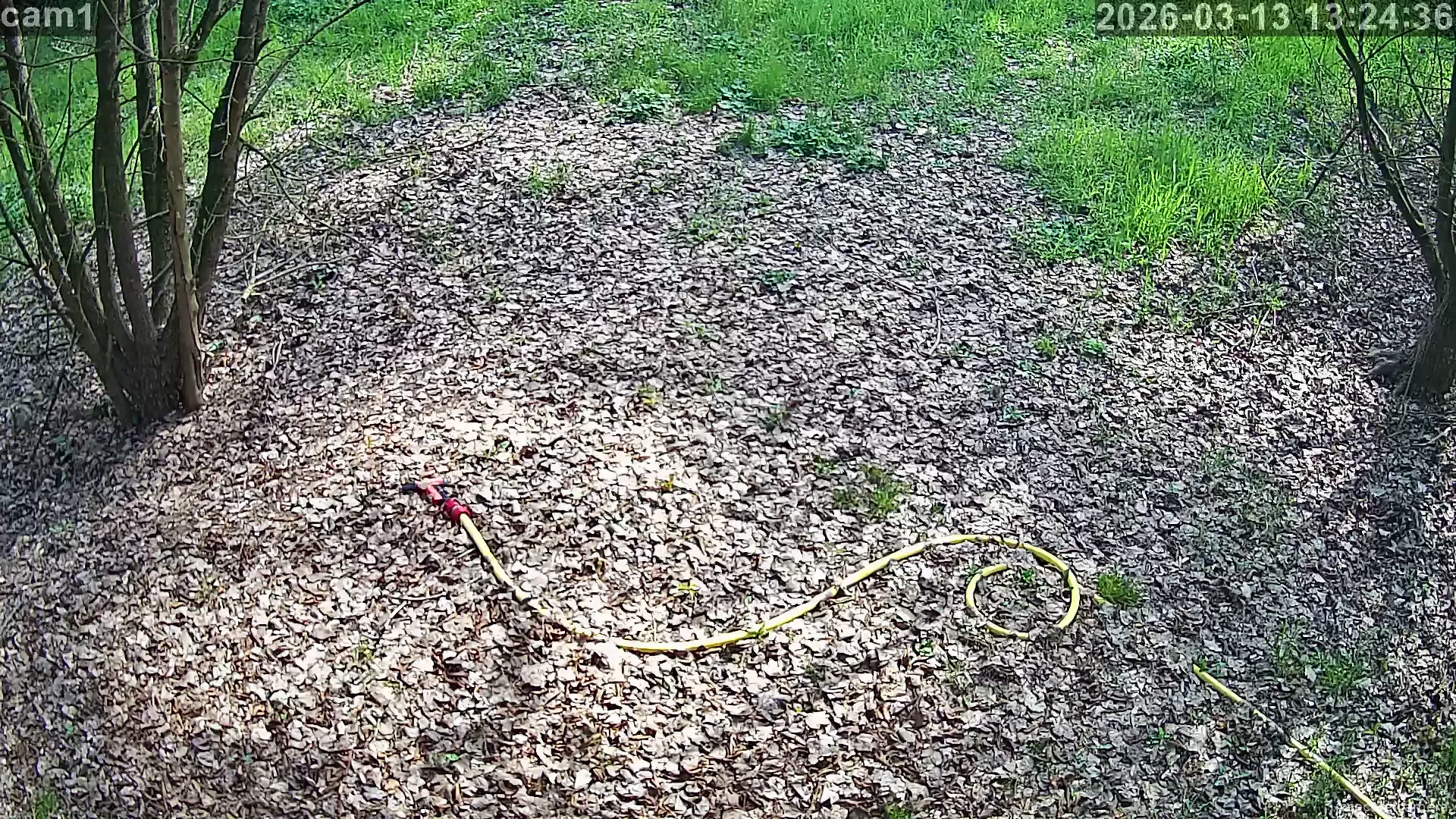 Capture from Mar 13, 2026 at 12:24 PM