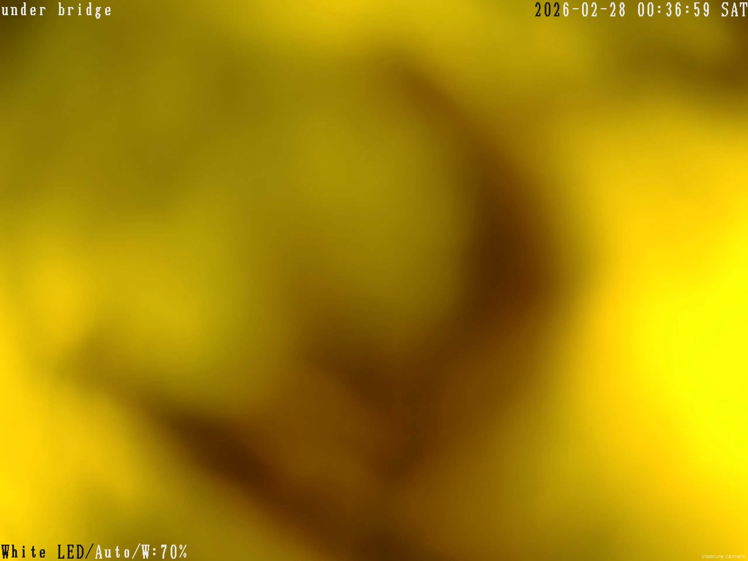 Capture from Feb 28, 2026 at 04:37 AM