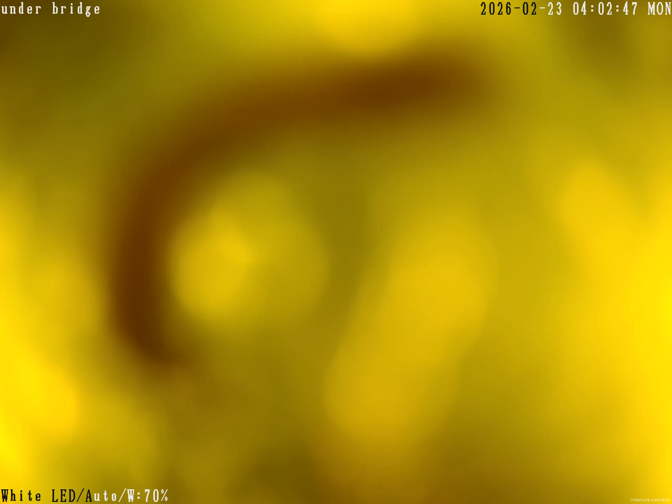 Capture from Feb 23, 2026 at 08:03 AM