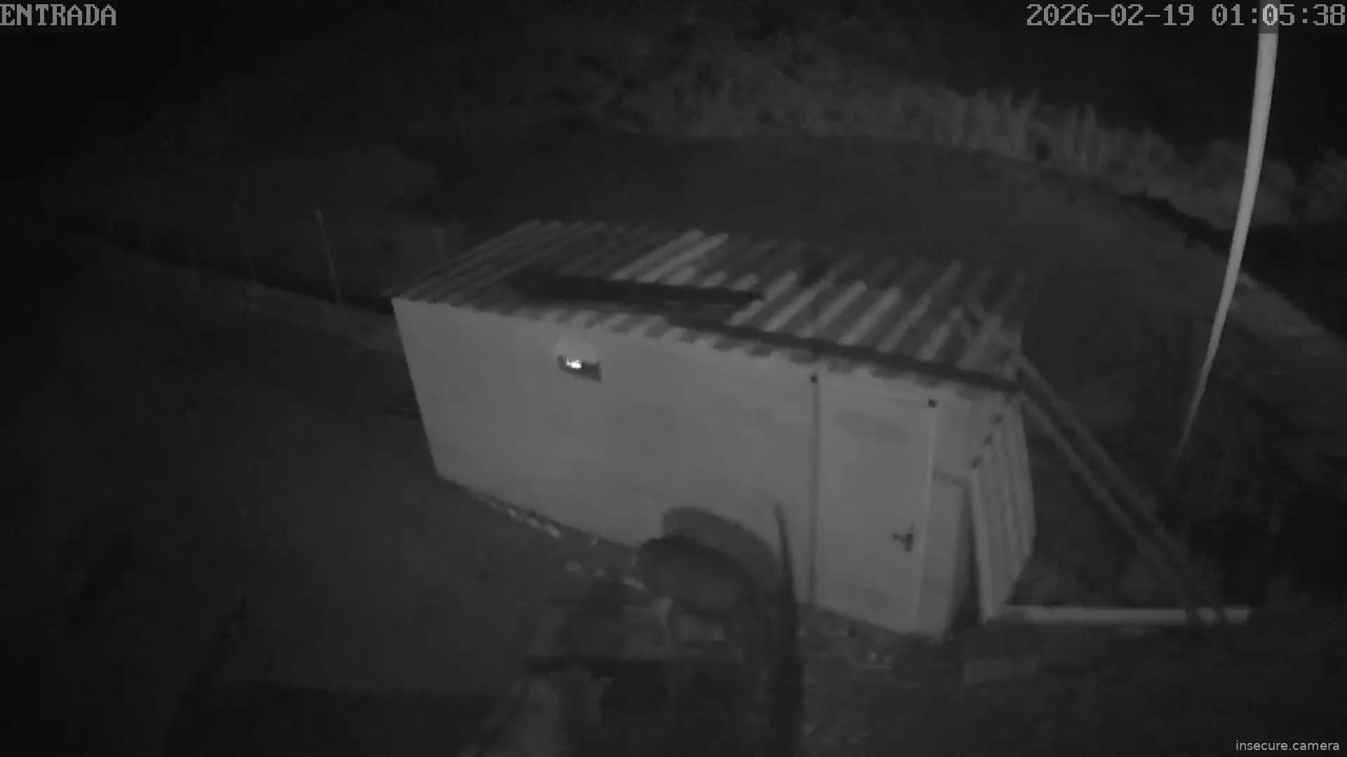 Capture from Feb 19, 2026 at 01:05 AM