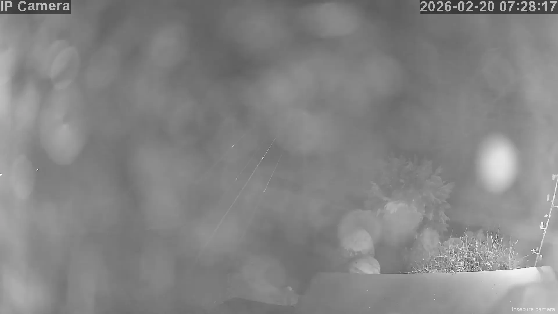 Capture from Feb 19, 2026 at 11:28 PM